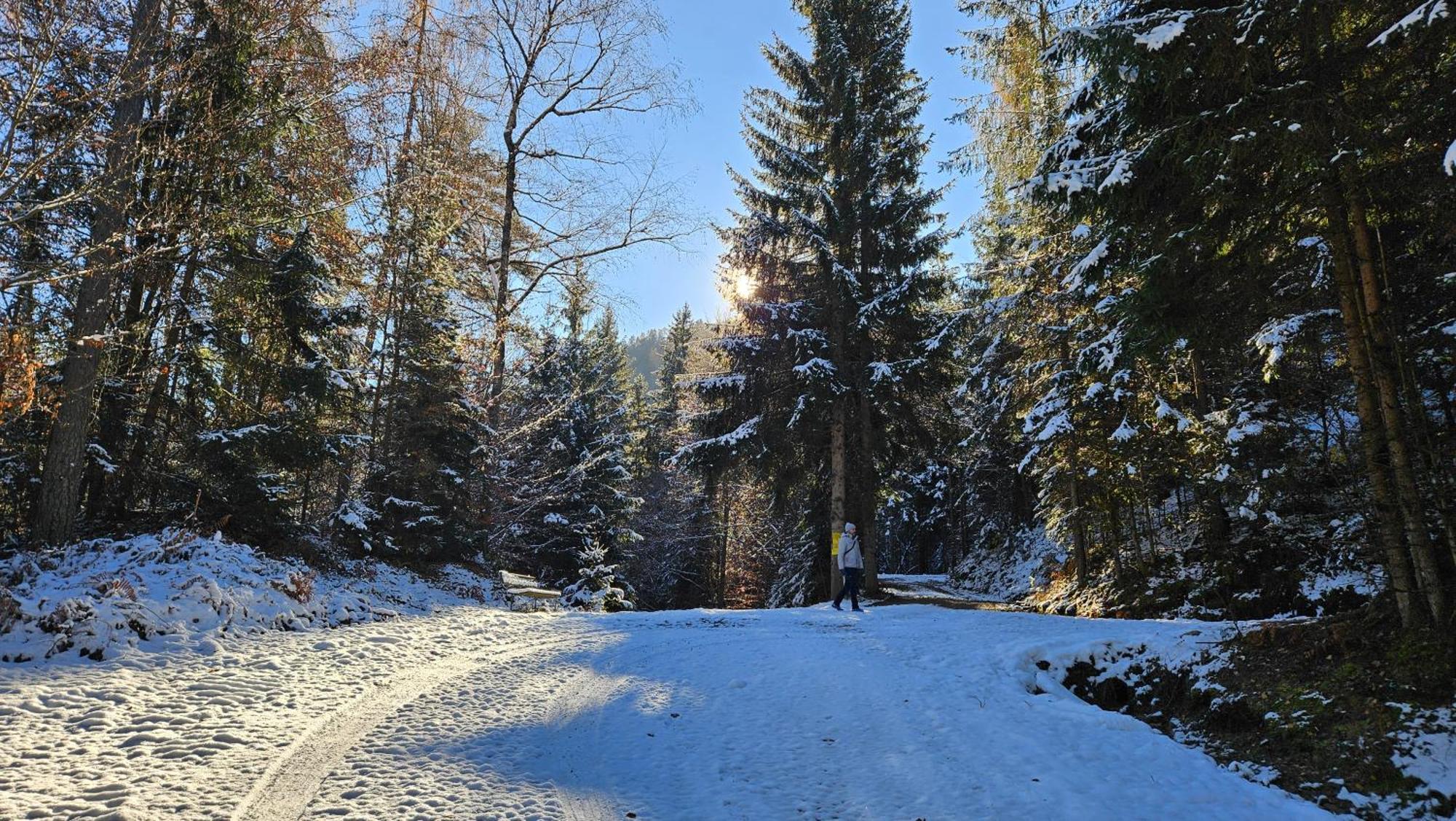 "Casa Antonio" 3 Gehminuten Strandbad Sekirn, Inkl Seezugang Kültér fotó