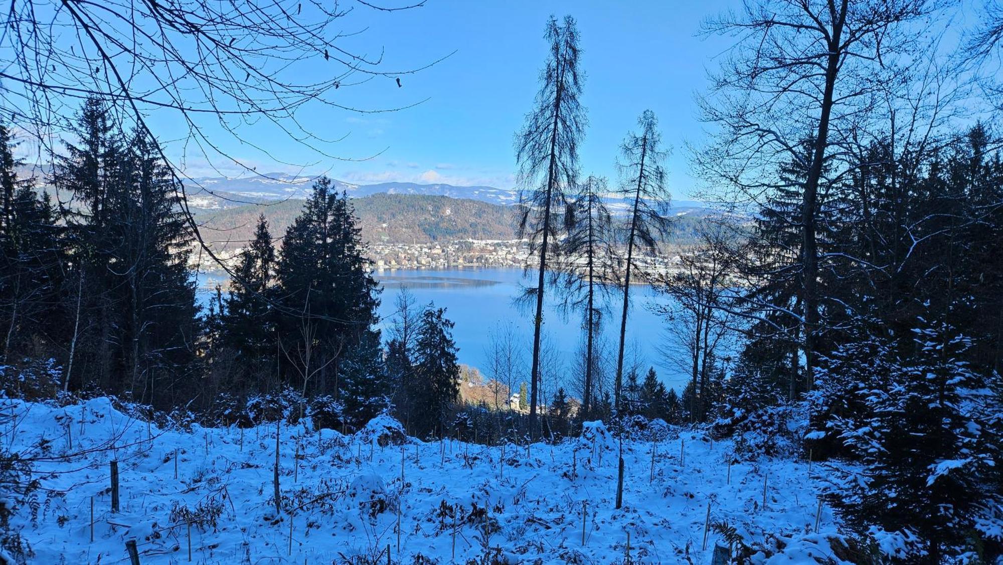 "Casa Antonio" 3 Gehminuten Strandbad Sekirn, Inkl Seezugang Kültér fotó